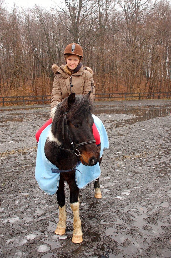 Pinto Lillefyr Part:-) billede 5