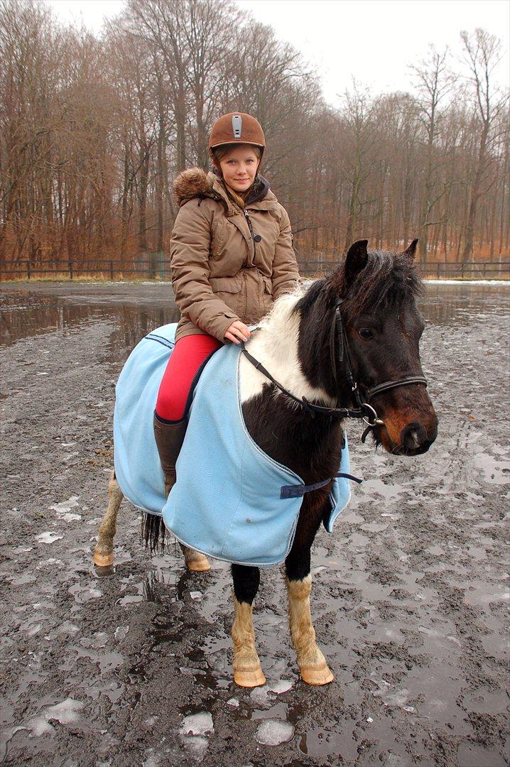 Pinto Lillefyr Part:-) billede 6