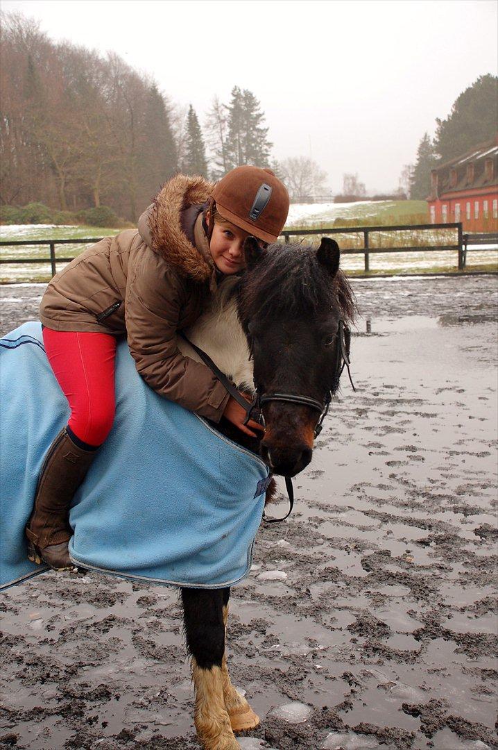 Pinto Lillefyr Part:-) billede 7