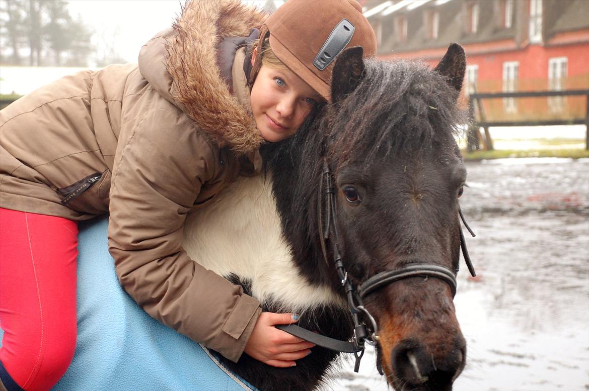 Pinto Lillefyr Part:-) billede 15