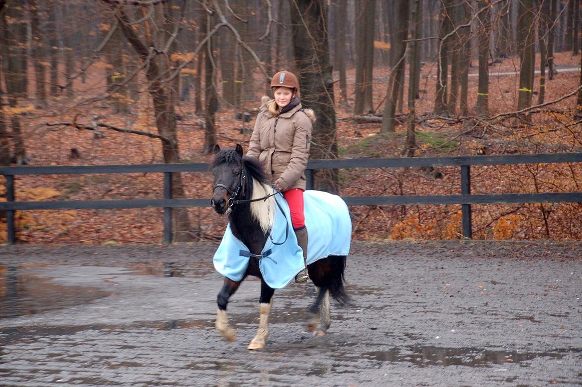 Pinto Lillefyr Part:-) billede 8