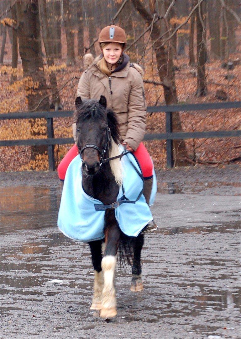 Pinto Lillefyr Part:-) billede 9