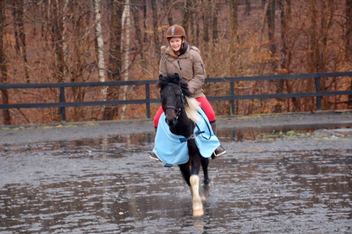 Pinto Lillefyr Part:-) billede 10