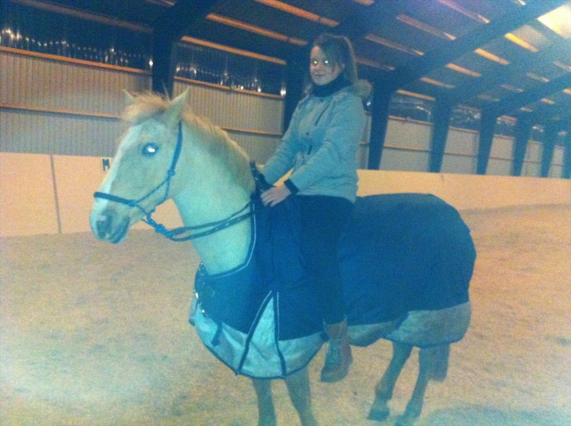 Palomino Queen Of Europe<3 - Hygger i hallen...<3 billede 15
