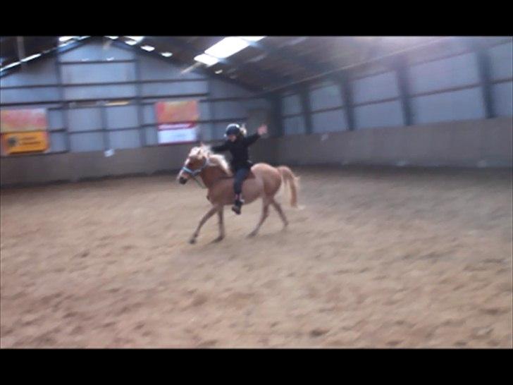 Anden særlig race Boss - For du er mit
Et & Alt!<3<3 billede 4