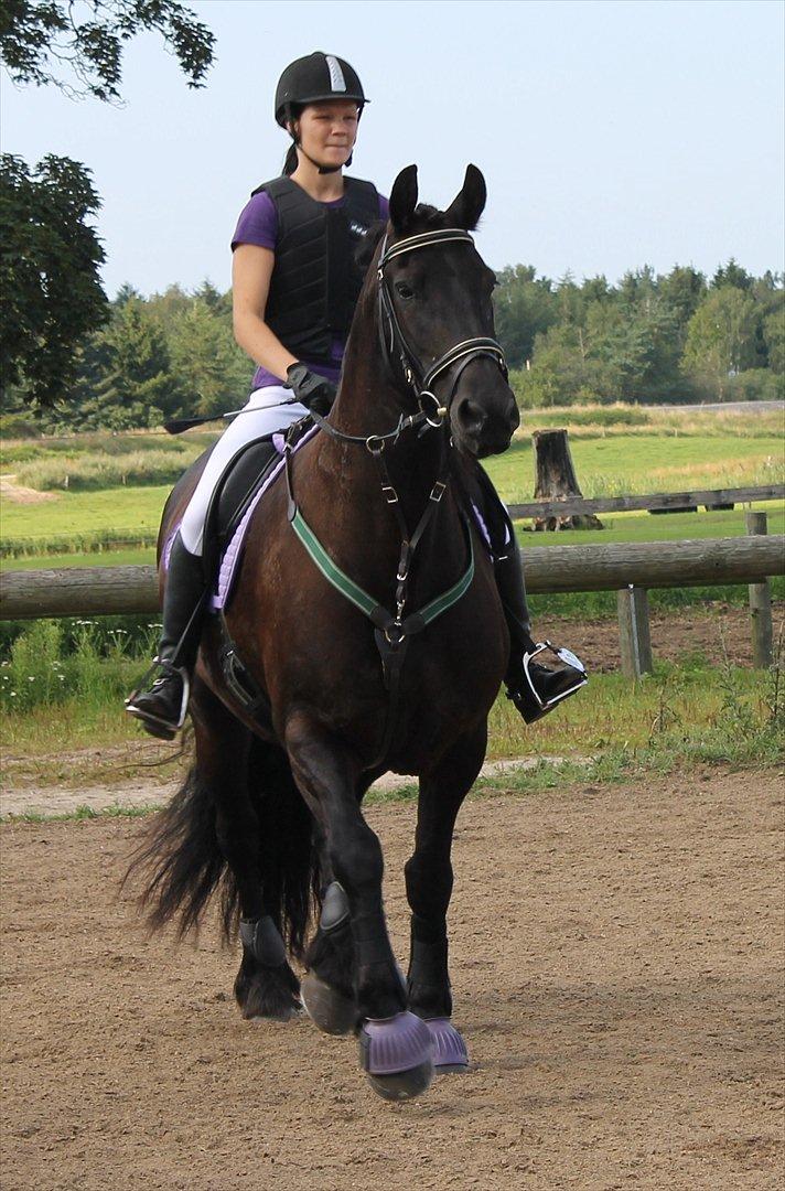 Frieser Linda A billede 6