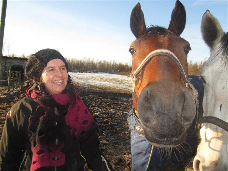Hannoveraner Rufina billede 18