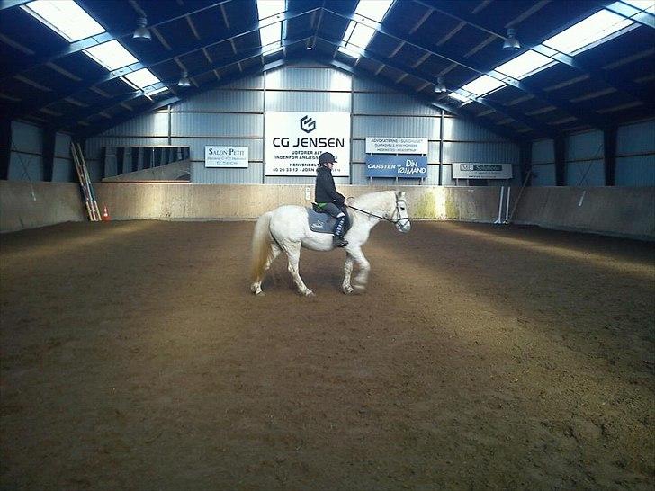 Anden særlig race princess billede 2