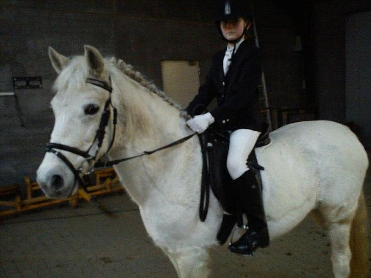 Anden særlig race princess - Første stævne med prinsessen - skindet bedrager ;-) billede 1