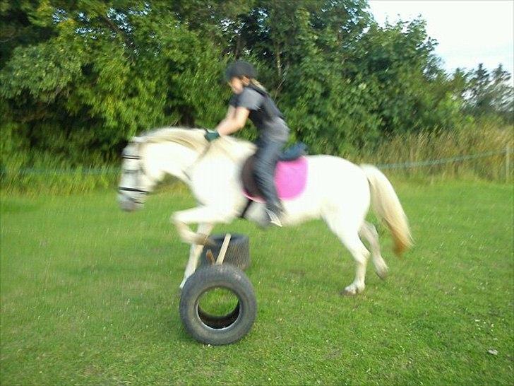 Anden særlig race princess billede 4