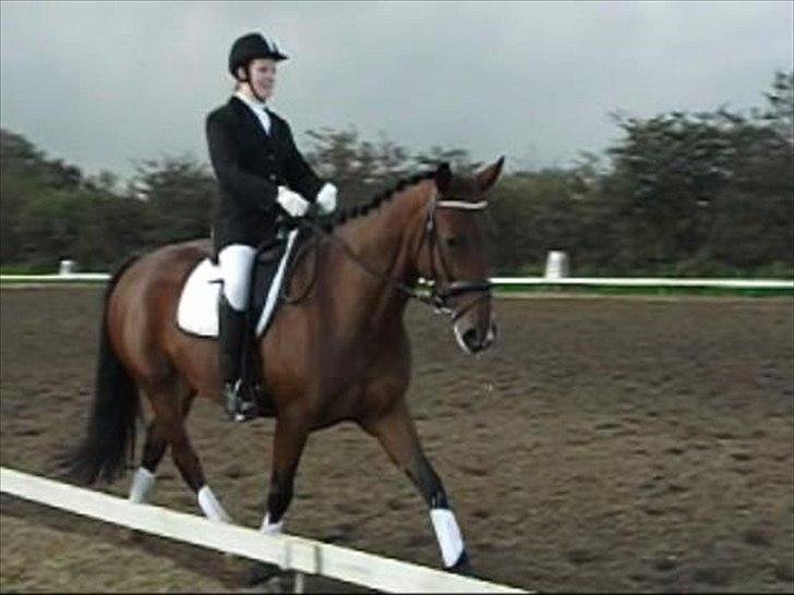 Anden særlig race Mulan - Første stævne i 2år - PRC September 2011 billede 20