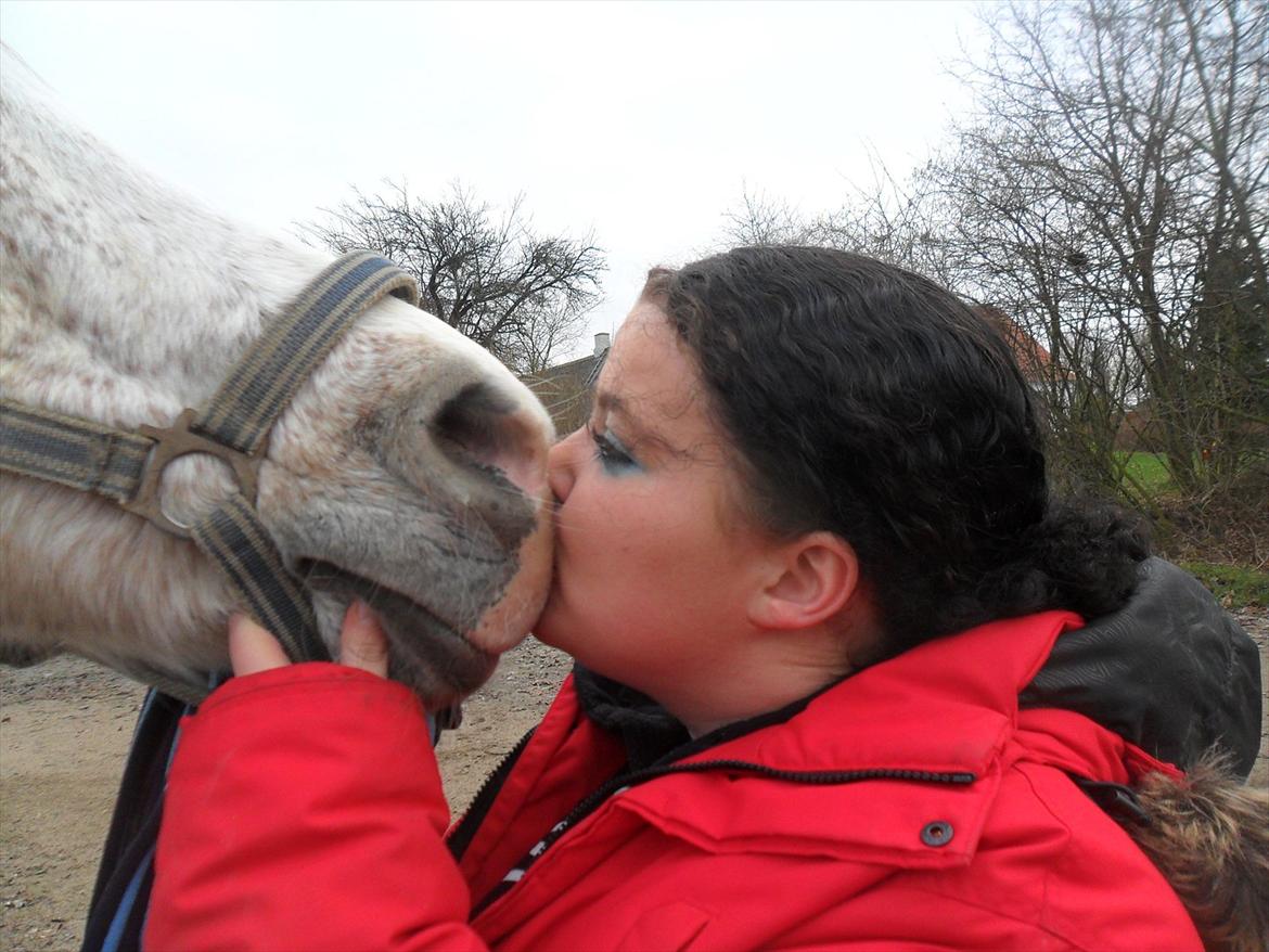 Anden særlig race shik billede 16