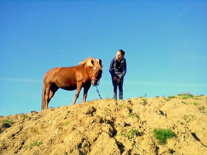 New Forest Mankehøjs Moonlight *Corona* R.I.P. - Tak fordi i kiggede<3 billede 20