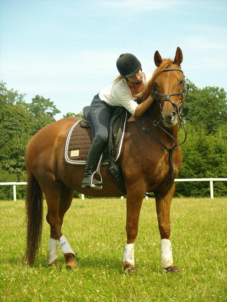 Trakehner Braveheart Graftebjerg - Pernille og Bimmer. billede 19
