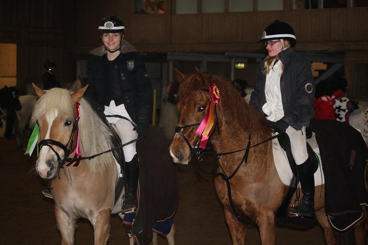 Anden særlig race Lise (DK) | Tidl. lånehest | R.I.P. billede 20