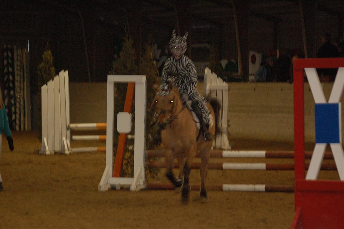 Anden særlig race Bailey spring-ponyen!!<3 billede 17