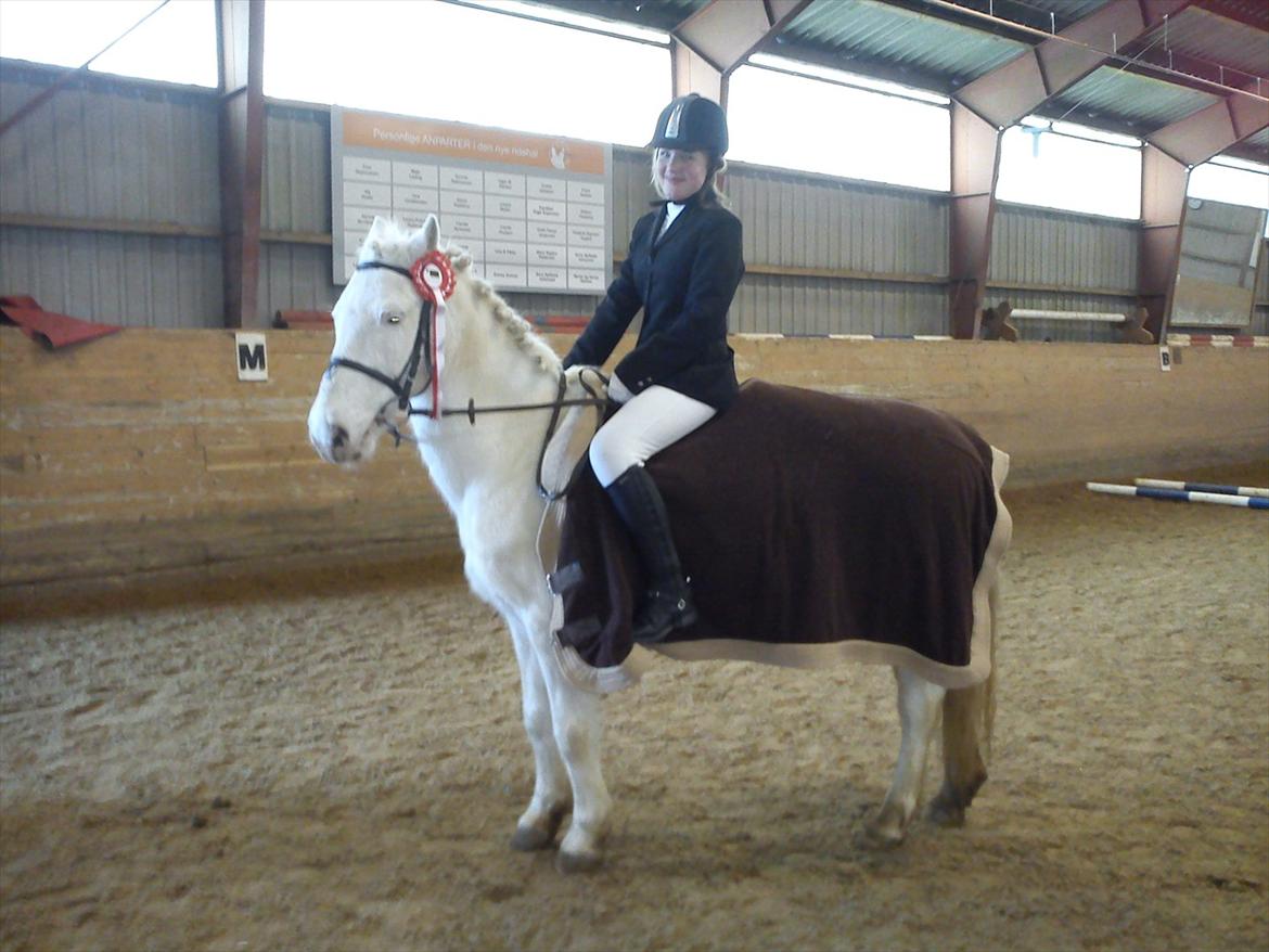 Anden særlig race Pletten |Elev pony |Rider ikke mere| - 1. Plads! :-D
73,3 %
Ud af 7 stater

Foto: Conni Pedersen.

Taak skat! :-* billede 2