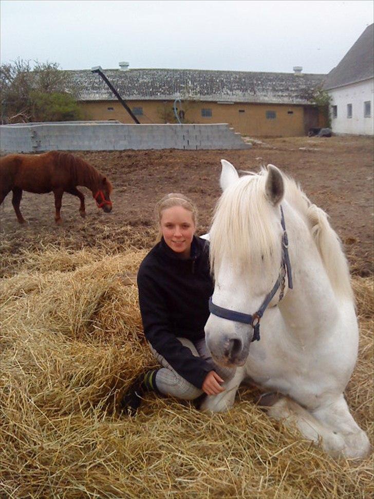 Connemara Columbus - dejlige hest :D billede 2