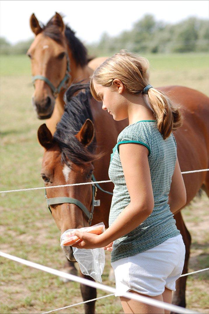 Anden særlig race Yasmin *Spring stjernen* - Yasmin får nogle godbidder!! ;D billede 15
