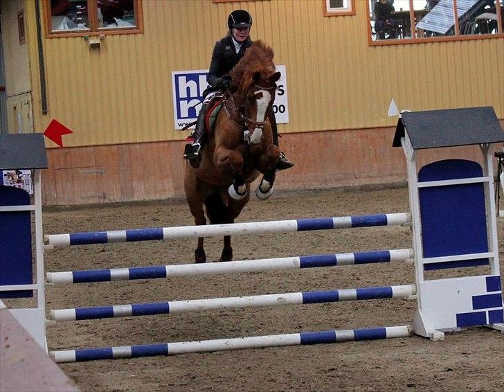 Dansk Varmblod Coam Laquita - LB*. Stævne i Hillerød Februar 2012.
Dygtig hyp sætter lidt stort af! <3 billede 3