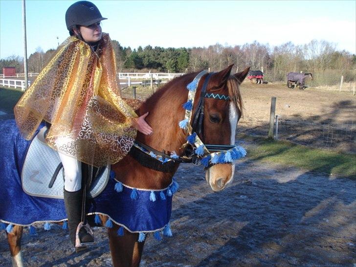 Anden særlig race Romeo<3 - 2. plads i Jokerspring. Og bedst udklædte :-').
Her til fastelavn på SKRK [vi er arabisk prinsesse og araber].  billede 12