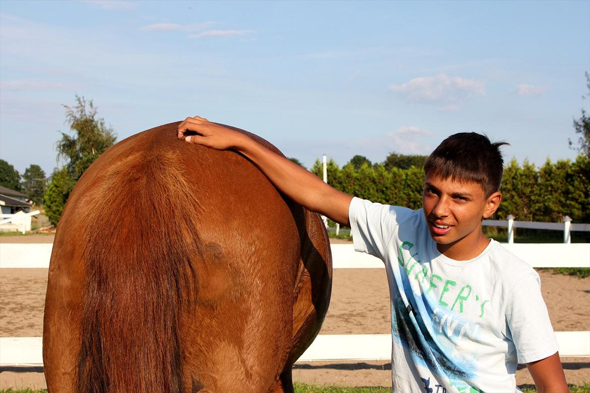 Dansk Varmblod Coam Laquita - Laquita fra hendes bedste side ;-)
Sammen med Lucas, hendes ejers papsøn ;-) billede 8