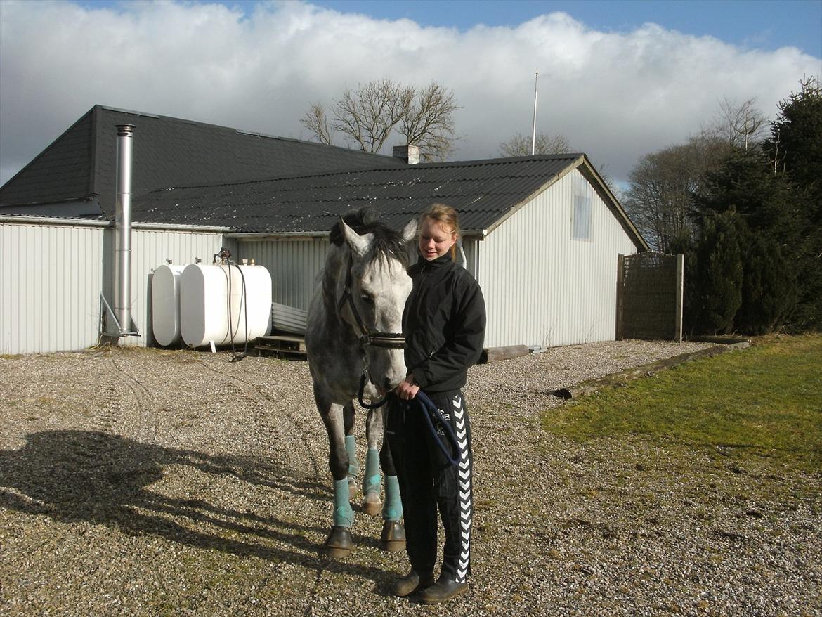 Holstener Armstrong ( Min bedste ven) <3 - <3 billede 5