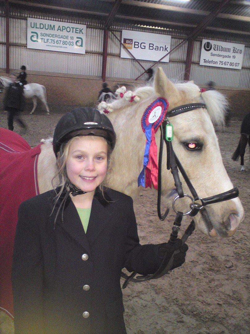 Welsh Mountain (sec A) Emil - Emil og jeg til klubstævne i dressur. billede 9