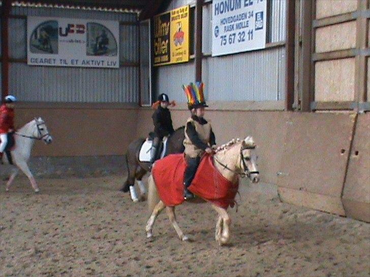 Welsh Mountain (sec A) Emil - Fastelavnsstævne med min søde pony Emil billede 15