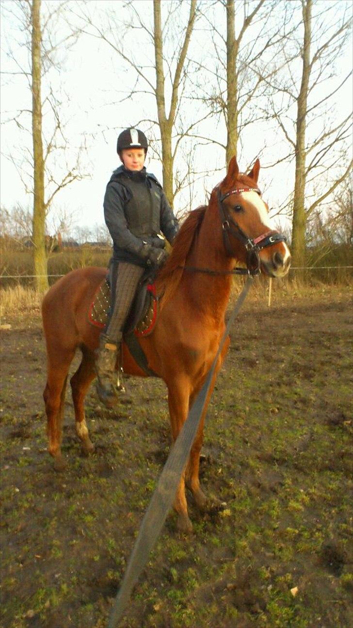 Oldenborg Rosenhavens Fransiska - 3. gang jeg rider hende :) hun er bare dygtig <3 billede 10
