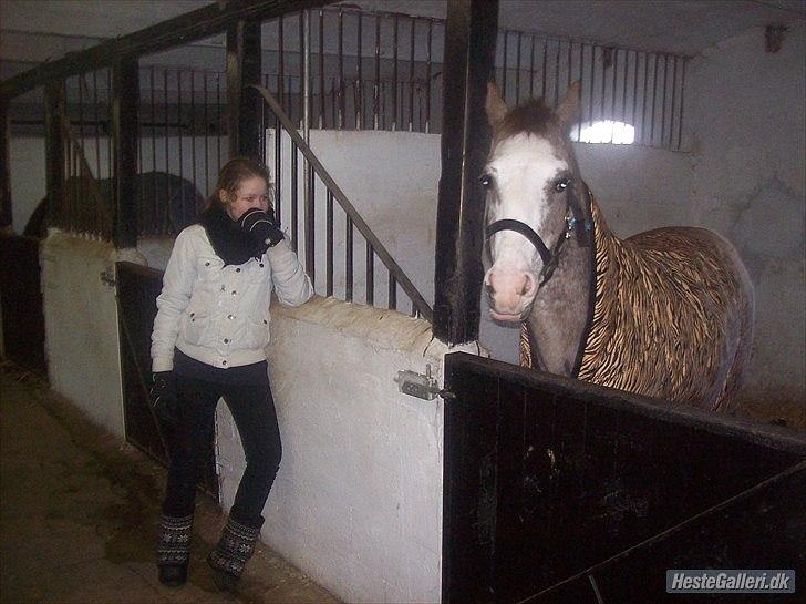 Anden særlig race Ulla - sov sødt! - Mig & Pretty!
Foto: Trine.
19 Feb 2012 billede 9