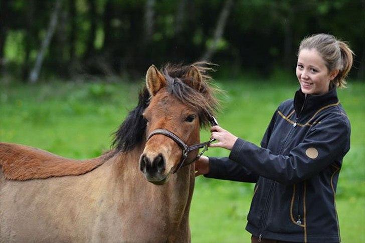 Gotlandsruss Julie :) billede 2