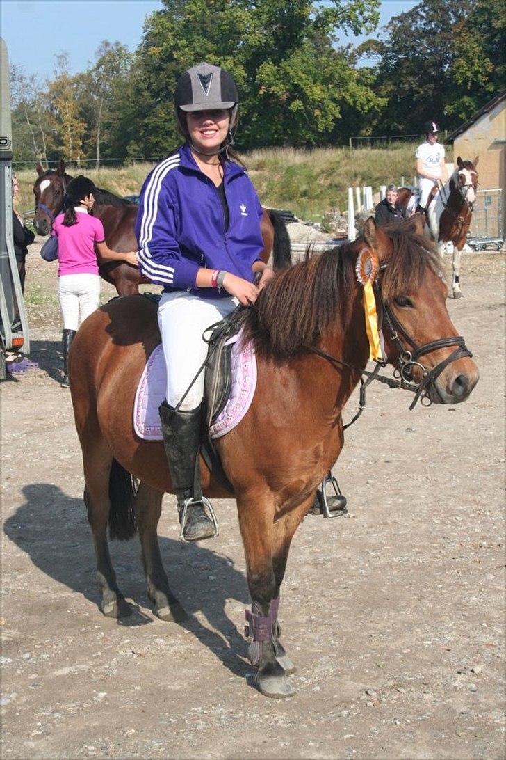 Gotlandsruss Julie :) billede 5