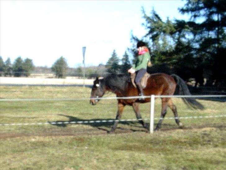 Traver Last Flashlight -  øve øve øve... frem og ned billede 17