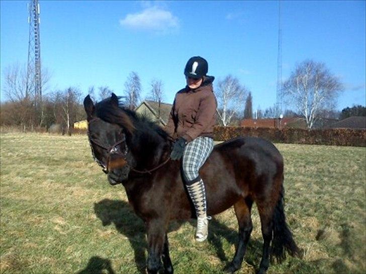 New Forest Elmholts Maritza <3  (Ritten) - På tur med søsterlil.. Hun tog så lige et billede af os.. Det skal lige siges at Maritza lige havde stået stille i en uge pga. skade, så hun var meget vågen... Et held at hun stod stille..:o billede 7