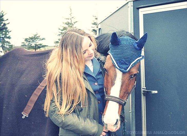 Anden særlig race Cappagh Unique - Jeg elsker dig mere end noget andet, min stjerne pony <3 billede 13