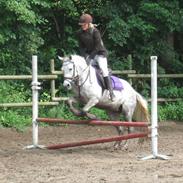 DSP Toftegaardens Ember