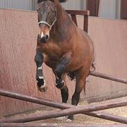 Oldenborg Felix Dupont