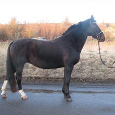 Oldenborg Etasja af Hvarre