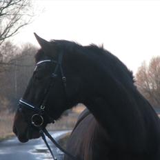 Oldenborg Etasja af Hvarre