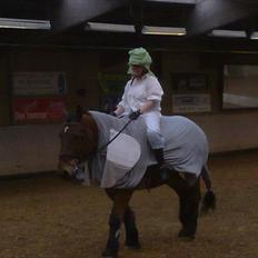 Belgier Stenholmgårds Jeppe