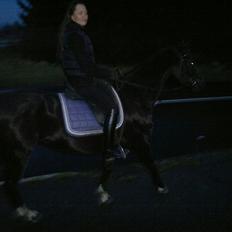 Knabstrupper Fibi (Gry)