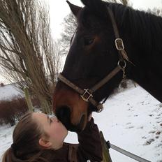 Oldenborg Højgaards Santos