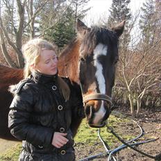 Anden særlig race Pluto