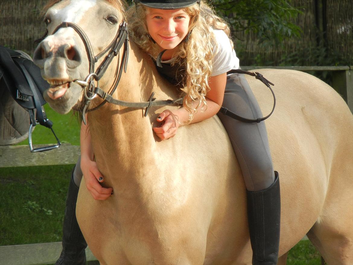 Welsh Partbred (Sec F) TIVALL <3 - Min YNDLINGS PONY!!!!!
Elsker dig forevigt fjollehest... billede 17