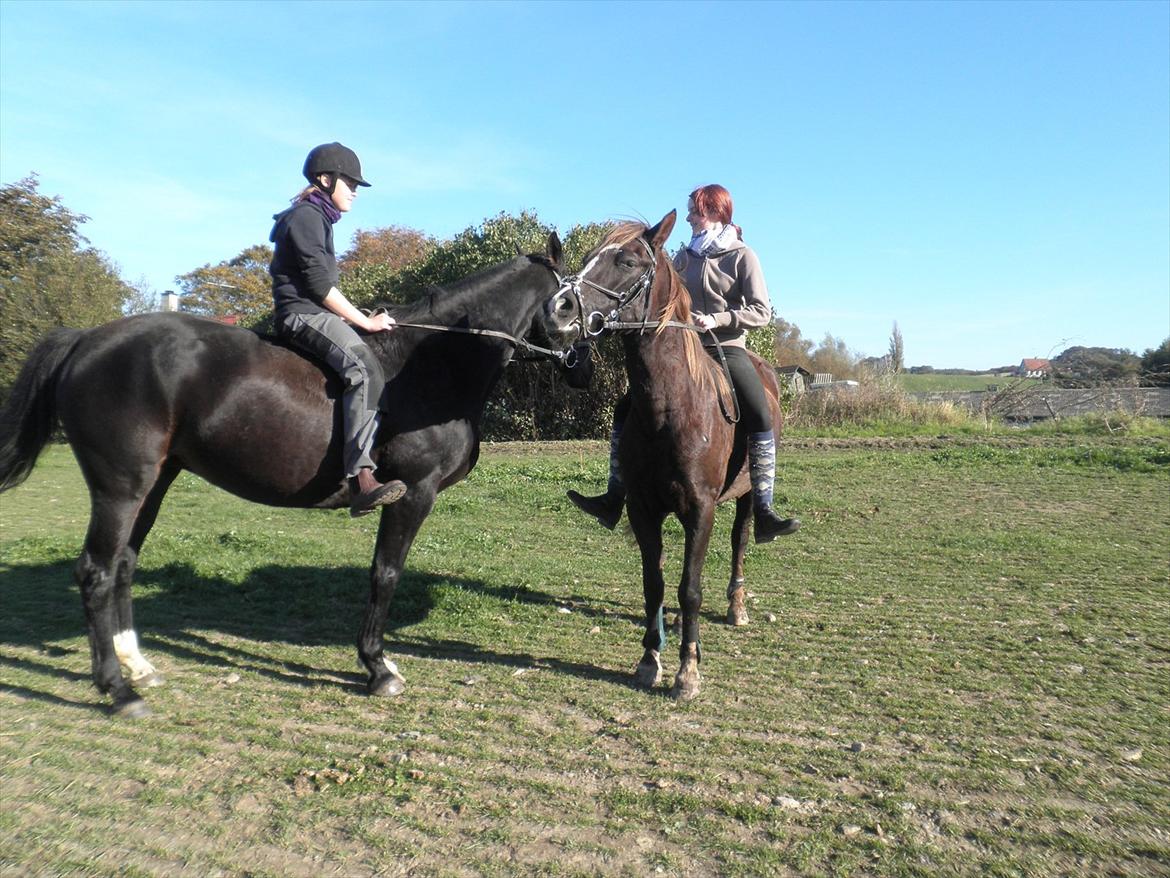 Anden særlig race Fuxie<3 (prinsessen)<3 billede 15