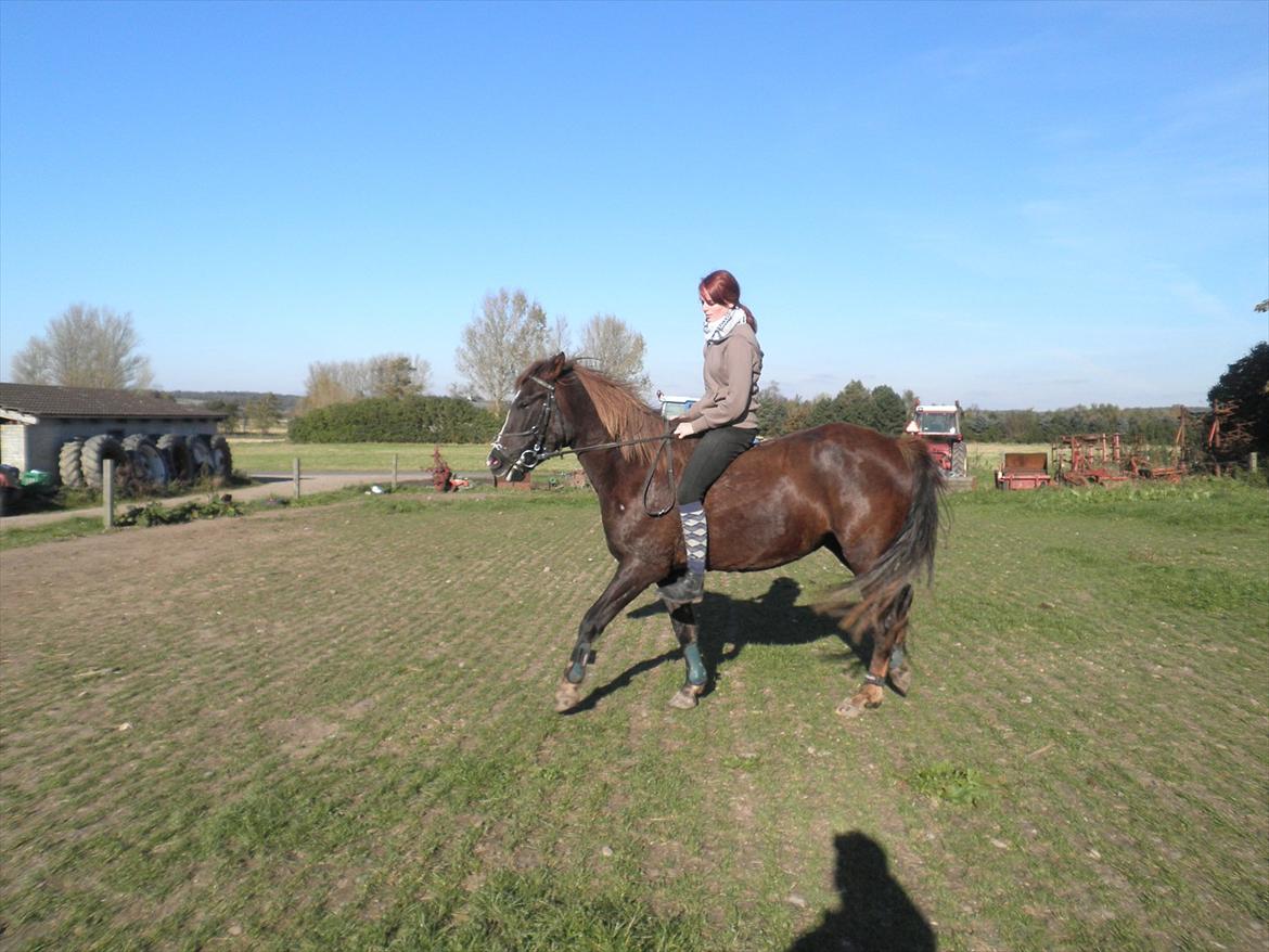 Anden særlig race Fuxie<3 (prinsessen)<3 billede 16