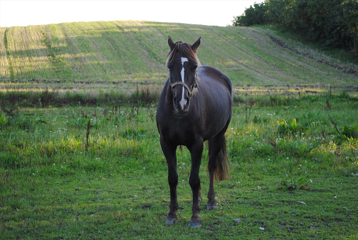 Anden særlig race Fuxie<3 (prinsessen)<3 billede 20