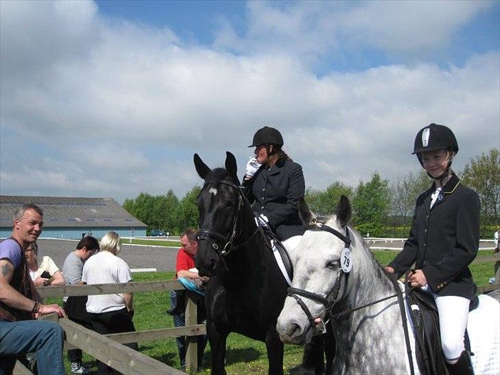 Anden særlig race Theis - VBP <3 - Stævne - Hark - 2010!<3 - VBP. billede 15