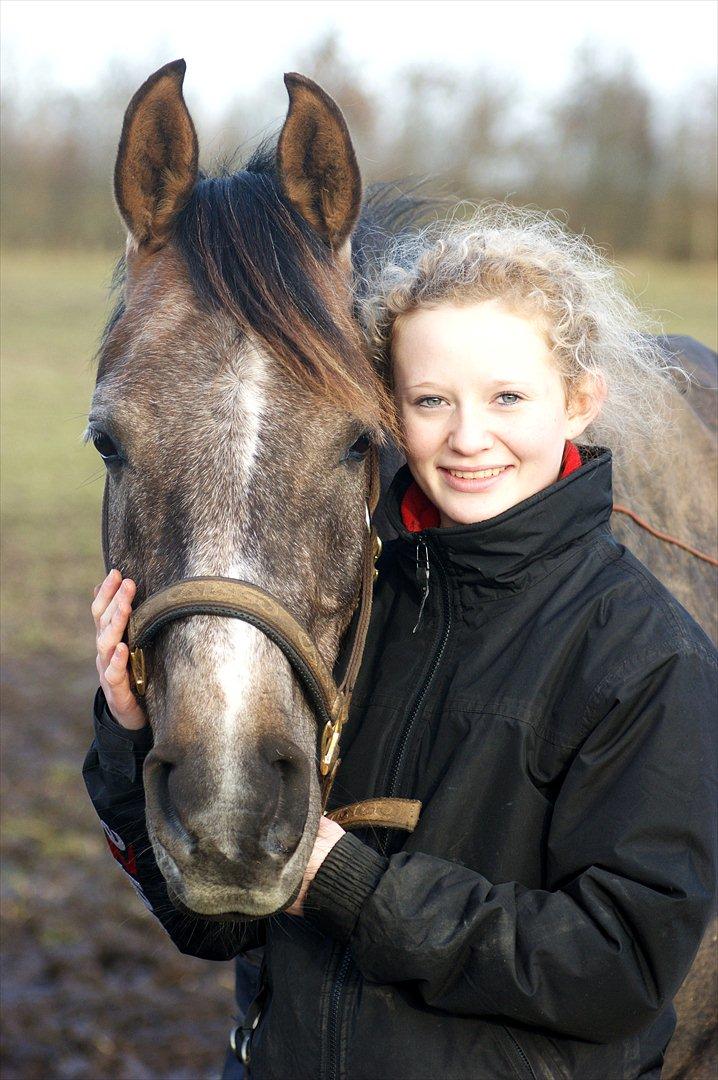 Arabisk fuldblod (OX) Helu - At elske dig er som at trække vejret.. hvordan kan det nogensinde lade sig gøre at stoppe..? billede 3